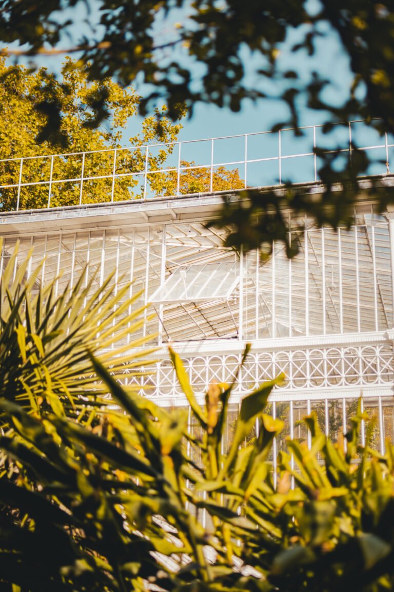 Photo du jardin des plantes de Rouen