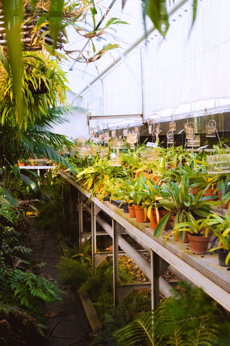 Photo du jardin des plantes de Rouen