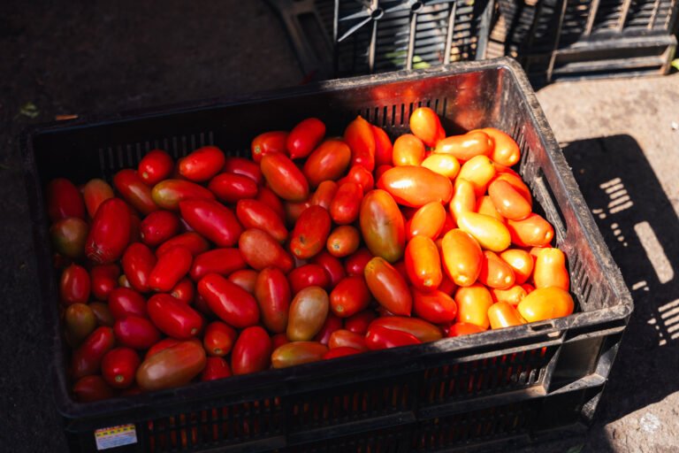 Photographie de fruits de l'ile de le Réunion