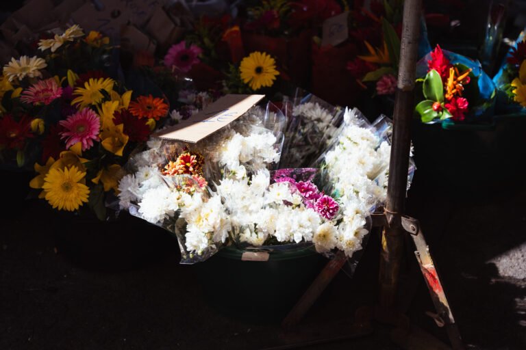 Photographie de fleurs de l'ile de le Réunion